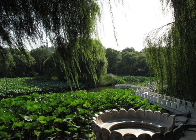 Красивый парк Бэйхай — тихое место в шумном Пекине