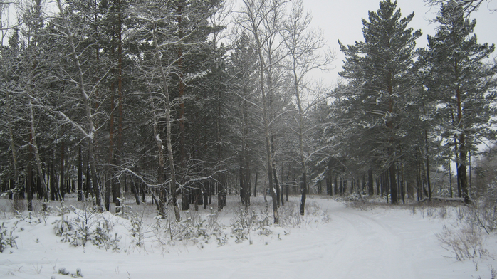 IMG_2684 (700x392, 405Kb)
