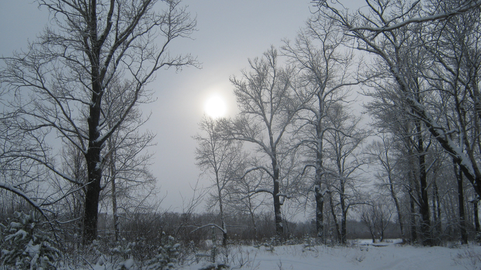 IMG_2695 (700x392, 411Kb)