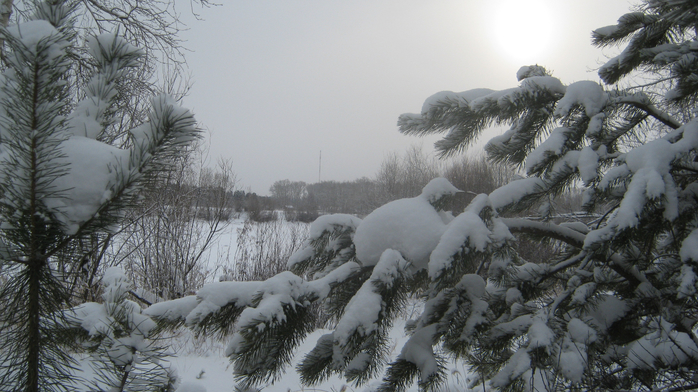 IMG_2700 (700x392, 369Kb)