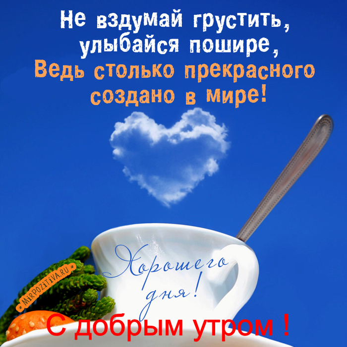 Люблю, открытки с добрым днем мужчине прикольные и красивые