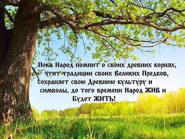 5839806_image_43 (604x453, 98Kb)