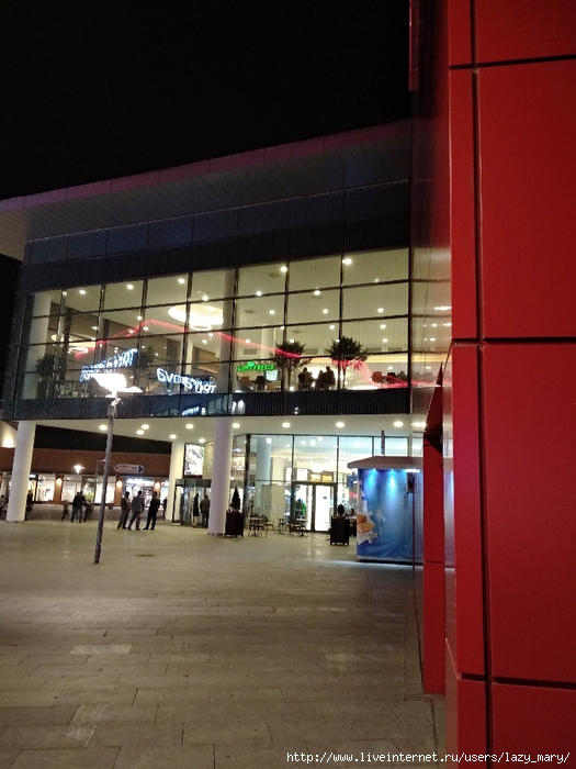 IMG_20180122_210010_HHT (525x700, 254Kb)