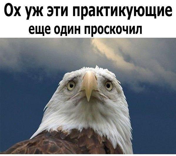 3288052_dsPewFQX4qk (599x534, 44Kb)
