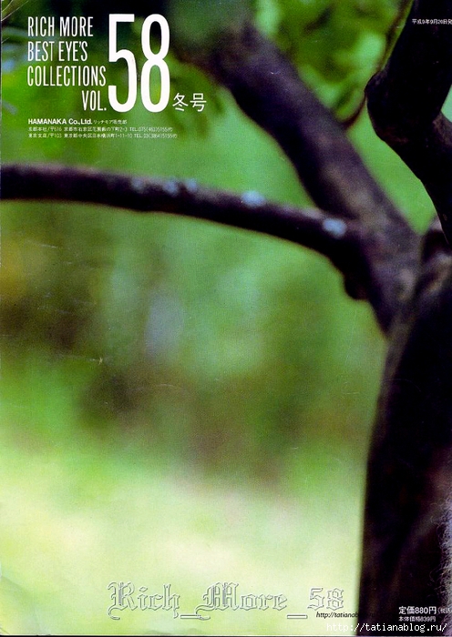 85 copy (496x700, 276Kb)