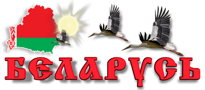125182580_Moya_Belarus_banner (700x309, 179Kb)
