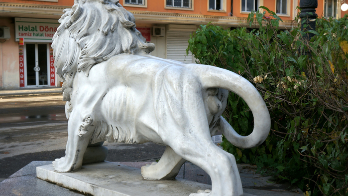 DSC00834 (700x393, 374Kb)