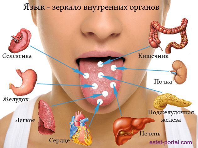 5445492_diagnostika (630x473, 48Kb)