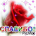 picmix.com_7408453 (128x128, 30Kb)