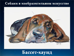 5107871_Bassethaynd (250x188, 51Kb)