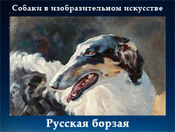 5107871_Rysskaya_borzaya (250x188, 52Kb)