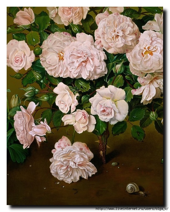 A ROSE SHRUB  Detail copy (562x700, 331Kb)