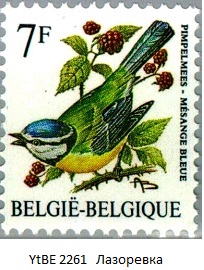 YtBE 2261    Eurasian-Blue-Tit-Parus-caeruleus (204x270, 35Kb)