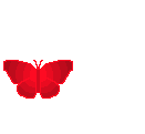 1 бабочка (131x121, 15Kb)