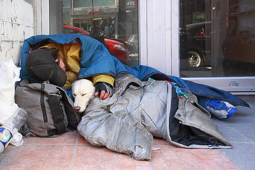 6011027_Homelessmanwithdogonstcatmar08 (500x333, 142Kb)