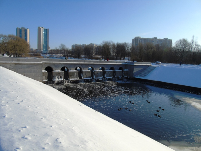 DSC01683 (700x525, 299Kb)