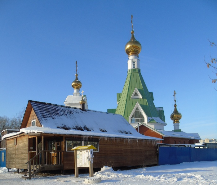 DSC01771 (700x596, 320Kb)