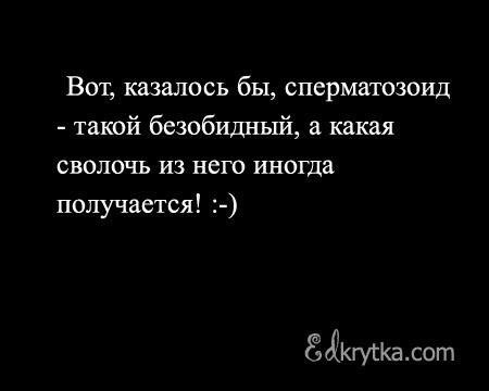 Казалось бы. Вот казалось сперматозоид. Вот казалось бы сперматозоид такой безобидный. Вот казалось бы сперматозоид такой безобидный а такая сволочь. Такая сволочь получается.