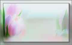 --1 (240x149, 6Kb)