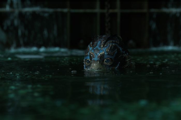 shapeofwater_crop.0 (700x466, 22Kb)