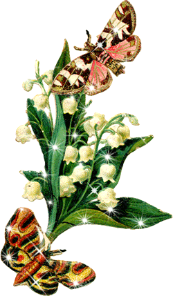cvety-s-babochkami5 (250x429, 90Kb)