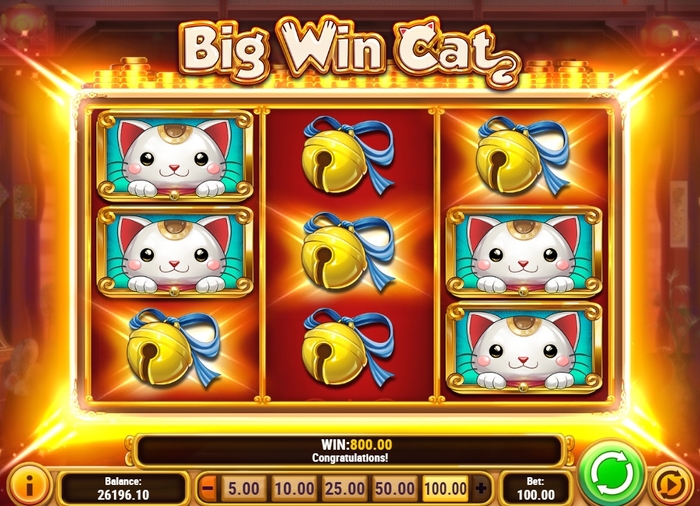 Big win Cat казино. Big win Cat Slot. Слот big win Cat от Play n go. Mad cars Slot big win.