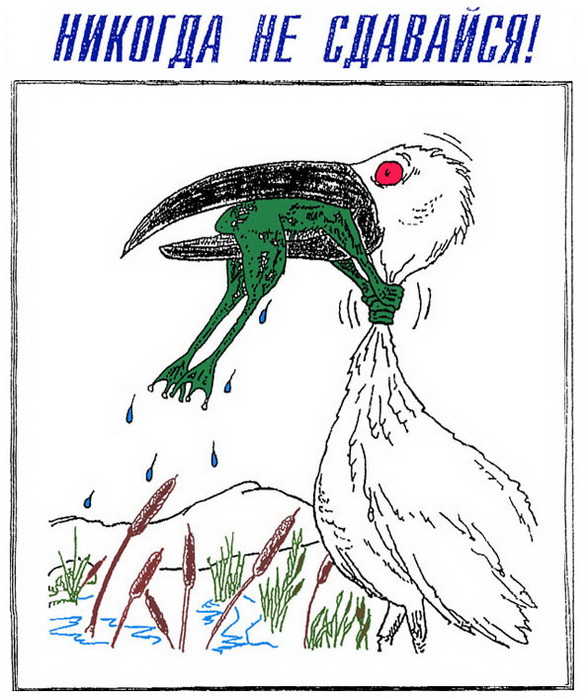 Никогда не сдавайся. Никогда не сдаваться рисунок. Рисунки на тему никогда не сдавайся. Плакат лягушка и цапля.