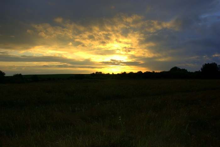DSC_0017.NEF (700x469, 107Kb)