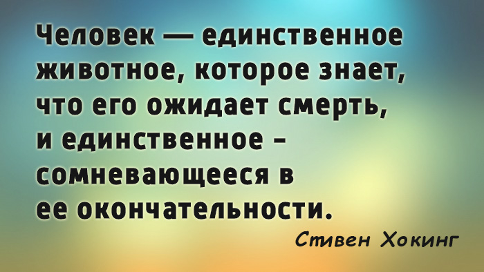 Самый единственный человек в мире. Человек единственное животное которое знает что его ожидает смерть. Я И единственный человек которого знаю. Стивен Хокинг любовь не каждому дается. Смерть единственный который нас ожидает.