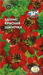 adonis_krasnaya_shapochka (150x258, 61Kb)