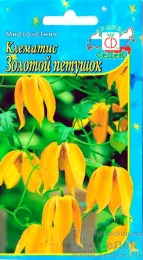 klematis_zolotoy_petushok_tangusskiy (143x260, 62Kb)