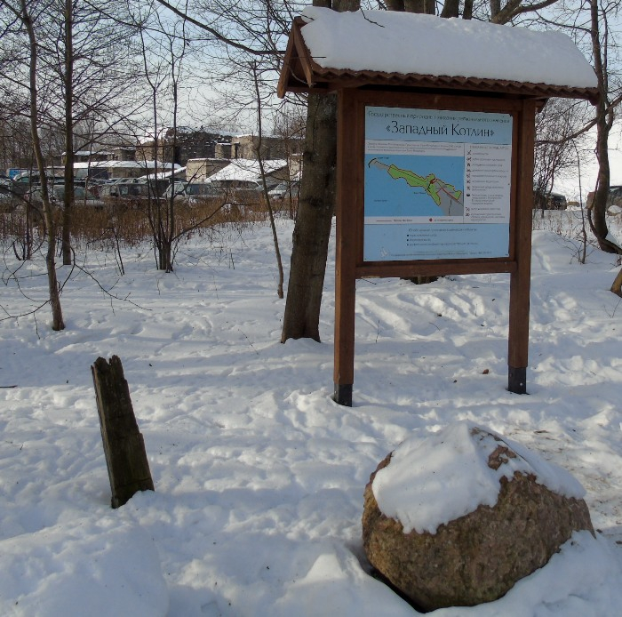 DSC03571 (700x694, 476Kb)