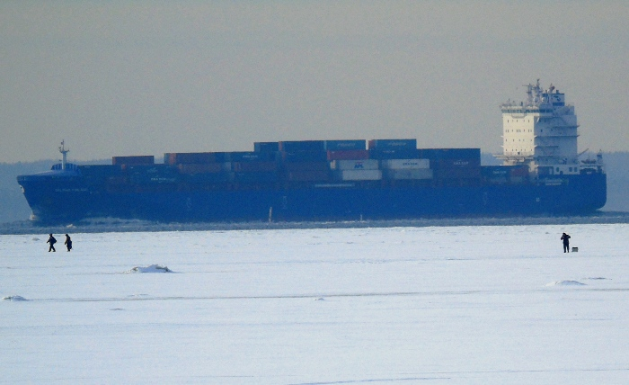 DSC03585 (700x428, 262Kb)