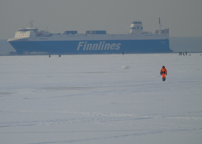 DSC03593 (700x500, 236Kb)