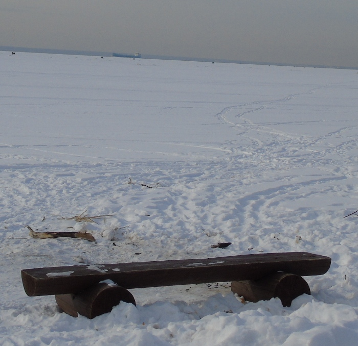 DSC03615 (700x678, 368Kb)