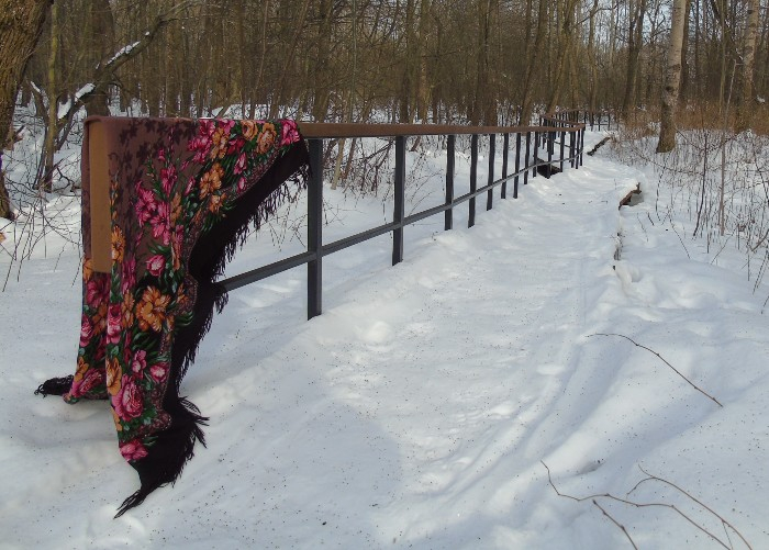 DSC03629 (700x501, 331Kb)