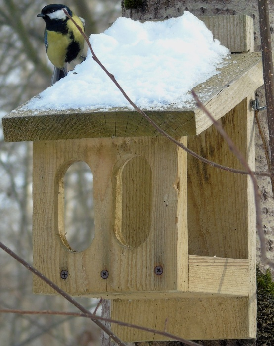 DSC03638 (554x700, 355Kb)