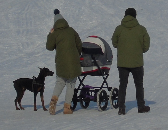 DSC03743 (700x541, 247Kb)