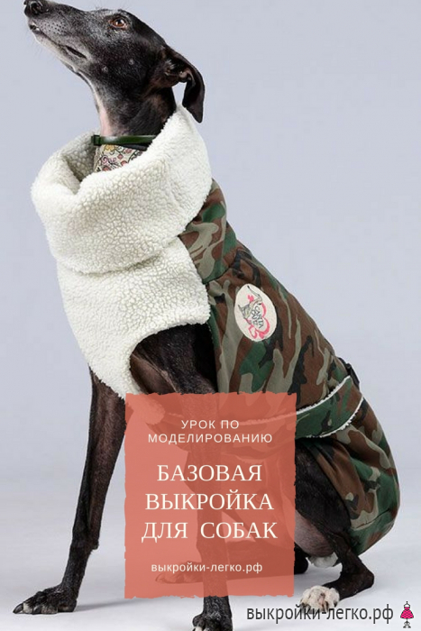 Одежда для собак своими руками Dress for dogs