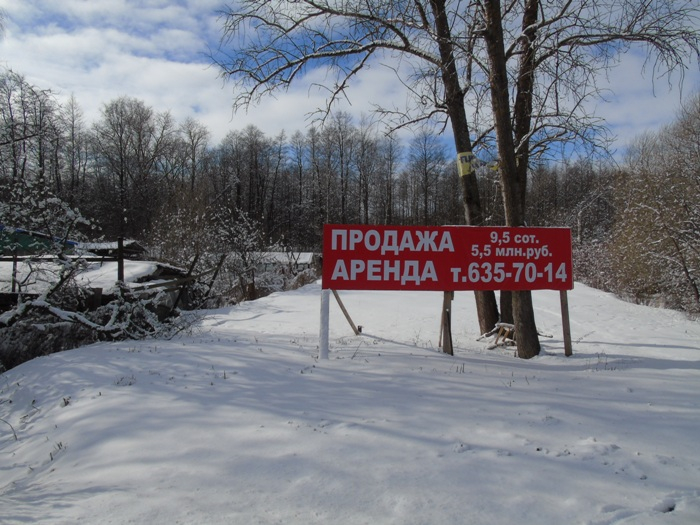 DSC00529 (700x525, 368Kb)