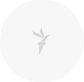 6209540_fpo_avatar_white (84x82, 1Kb)