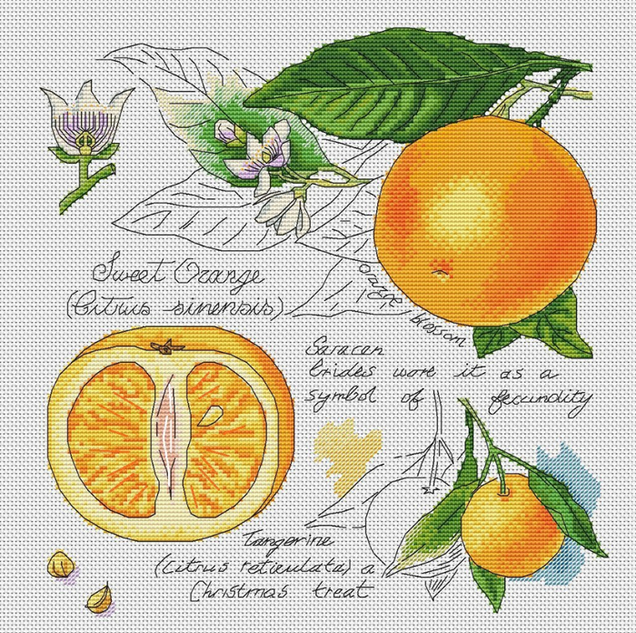 Orange (2) (700x696, 623Kb)