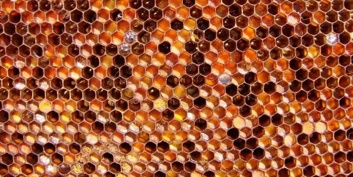 5177462_Image_22 (700x351, 311Kb)