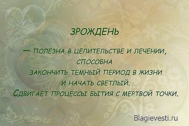 5839806_image_43 (604x403, 56Kb)