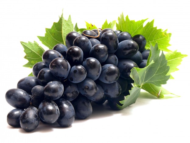 black_grapes_08-624x468 (624x468, 58Kb)