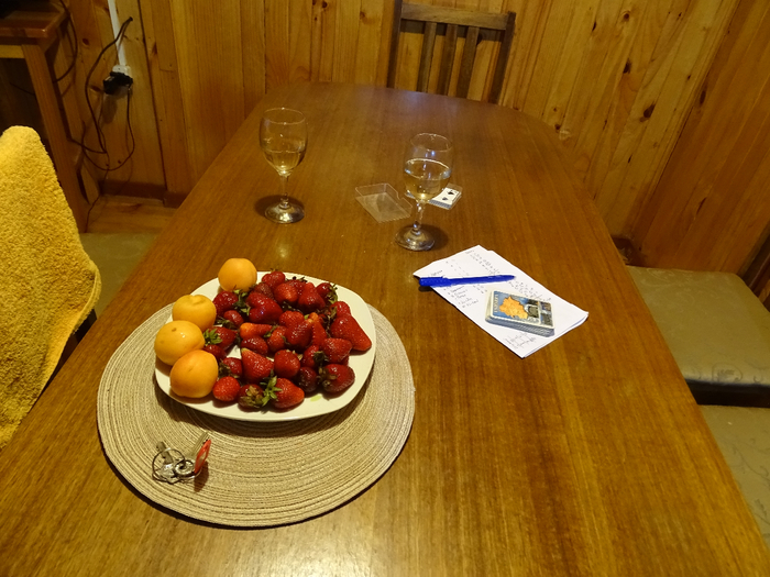 DSC04921 (700x525, 446Kb)