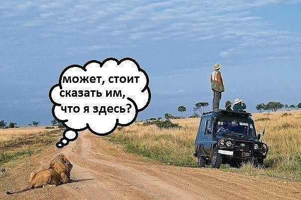 1 апреля (604x403, 231Kb)