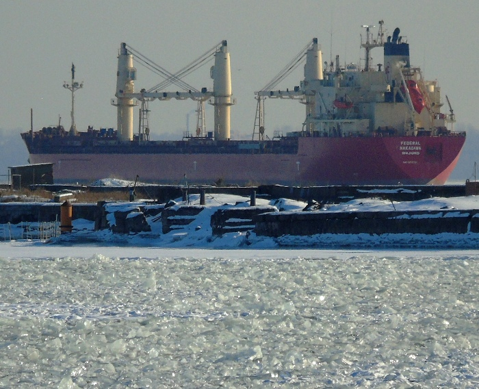 DSC03452 (700x568, 446Kb)