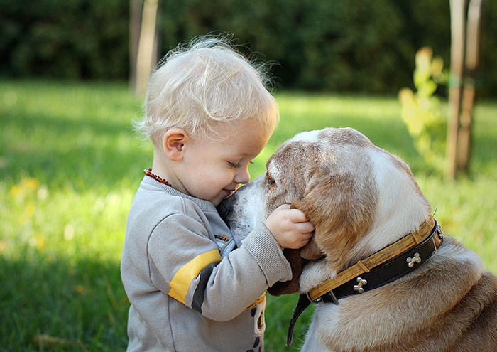 XX-Kids-With-Dogs2__700 №1 (700x495, 245Kb)