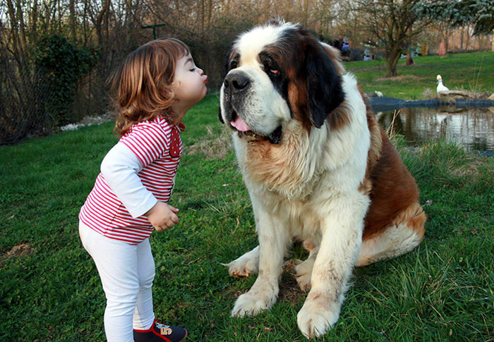 kids-with-dogs-68__700   №5 (700x485, 374Kb)